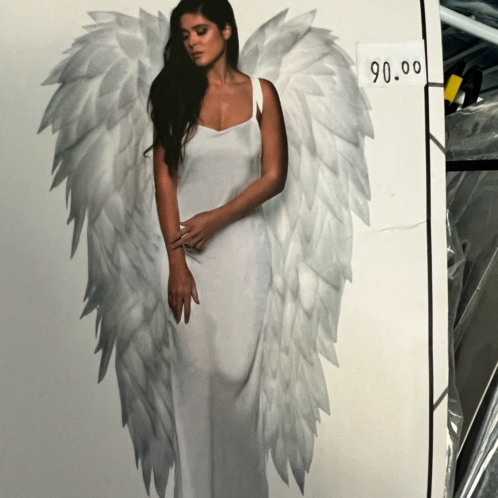 White Angel Wings